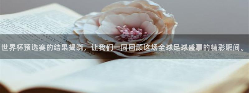 足球世界杯时间：世界杯预选赛的结果揭晓，让我们一同回顾这场全球足球盛事的精彩瞬间。