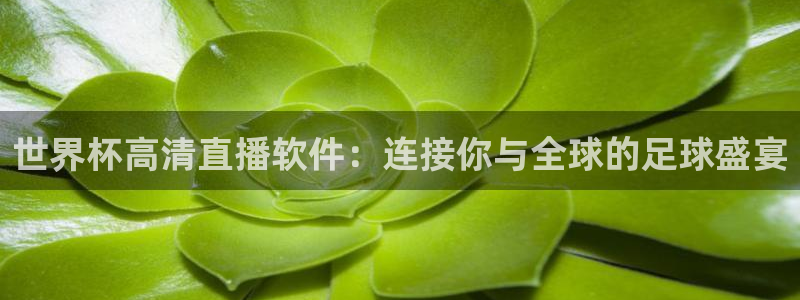 足球世界杯赛程：世界杯高清直播软件：连接你与全球的足球盛宴