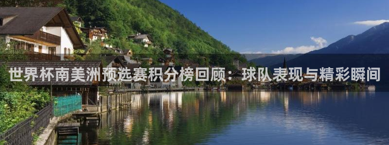 中国 世界杯：世界杯南美洲预选赛积分榜回顾：球队表现与精彩瞬间