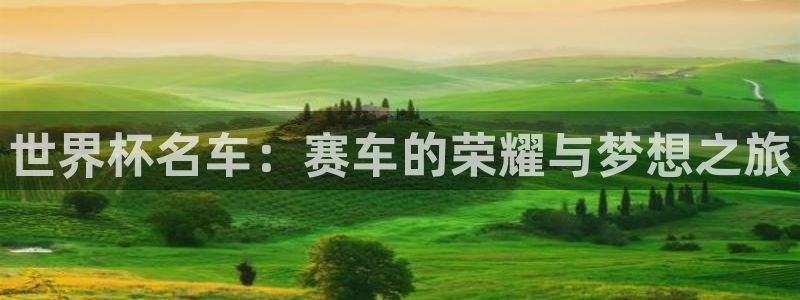 世界杯直播高清：世界杯名车：赛车的荣耀与梦想之旅