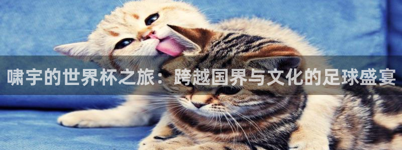 世界杯足球赛2026：啸宇的世界杯之旅：跨越国界与文化的足球盛宴