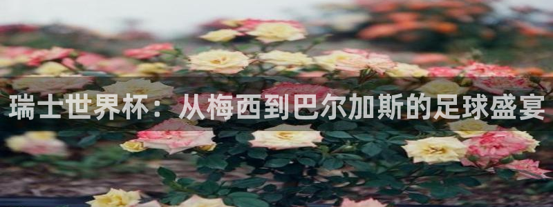 2026世界杯赛程时间表最新：瑞士世界杯：从梅西到巴尔加斯的足球盛宴