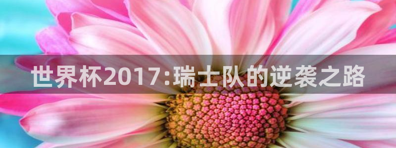 足球世界杯：世界杯2017:瑞士队的逆袭之路