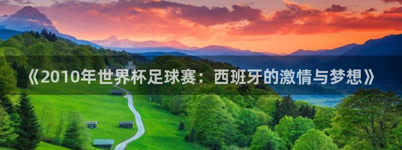 世界杯预选赛欧洲：《2010年世界杯足球赛：西班牙的激情与梦想》