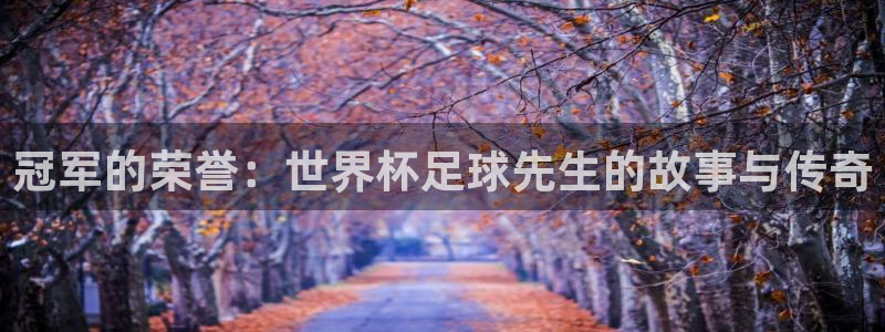 今年的世界杯：冠军的荣誉：世界杯足球先生的故事与传奇