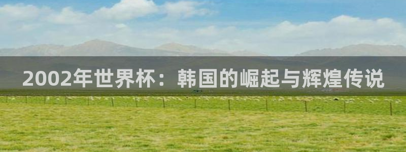 2026世界杯亚洲预选赛：2002年世界杯：韩国的崛起与辉煌传说