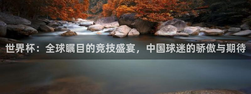 世界杯赛程表2026：世界杯：全球瞩目的竞技盛宴，中国球迷的骄傲与期待