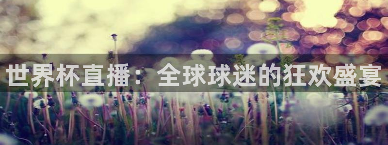 世界杯预选赛欧洲赛区赛程：世界杯直播：全球球迷的狂欢盛宴