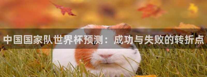 2026世预赛赛程表：中国国家队世界杯预测：成功与失败的转折点