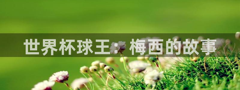 世界杯预选赛欧洲：世界杯球王：梅西的故事