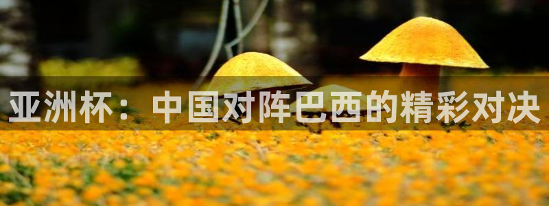 世界杯预选赛2026：亚洲杯：中国对阵巴西的精彩对决