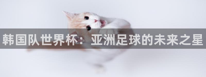 世界杯今年：韩国队世界杯：亚洲足球的未来之星