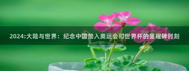 2026世界杯德国队阵容：2024:大陆与世界：纪念中国加入奥运会和世界杯的里程碑时刻